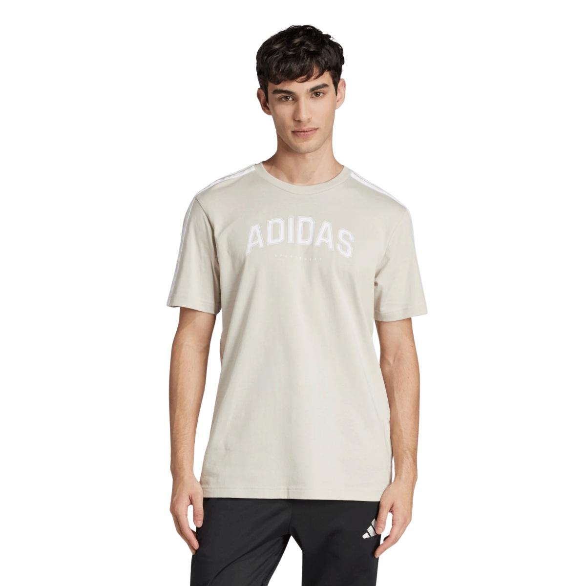 Adidas College Tee T-Shirt Uomo
