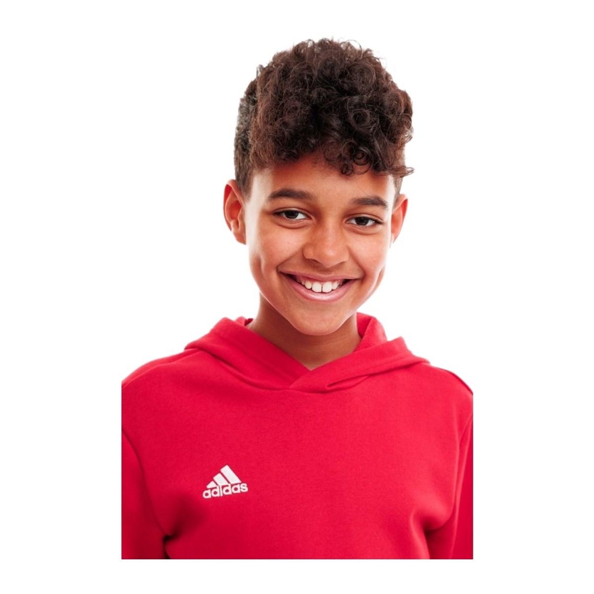 Adidas Felpa con Cappuccio Entrada 22 Junior Bambini