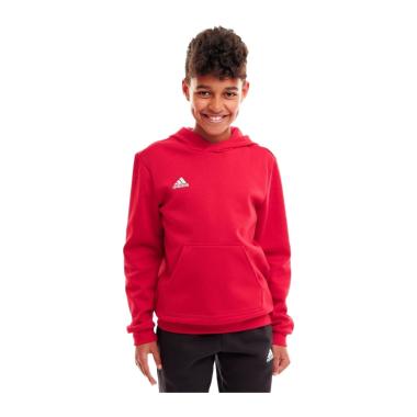 Adidas Felpa con Cappuccio Entrada 22 Junior Bambini