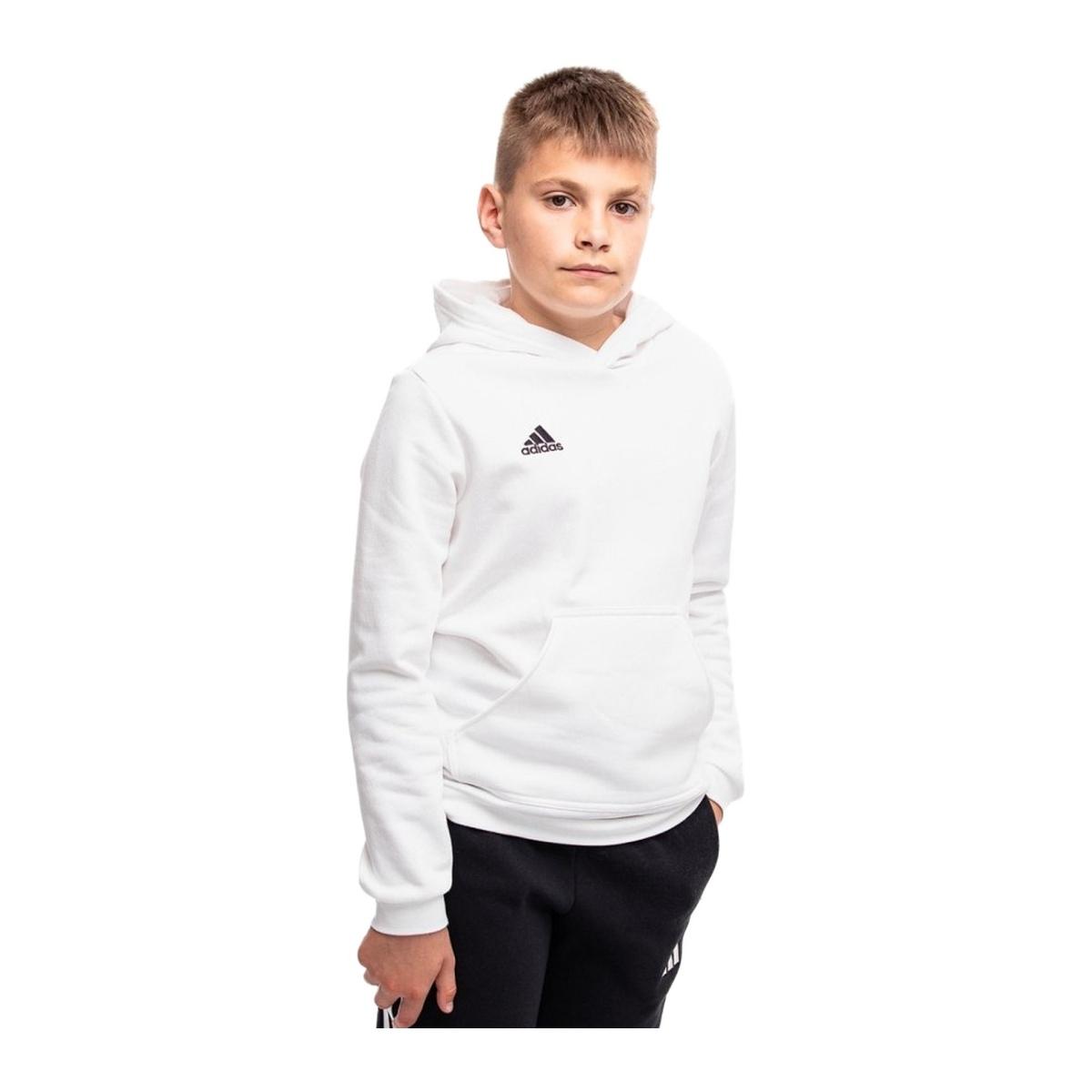 Adidas Felpa con Cappuccio Entrada 22 Junior Bambini