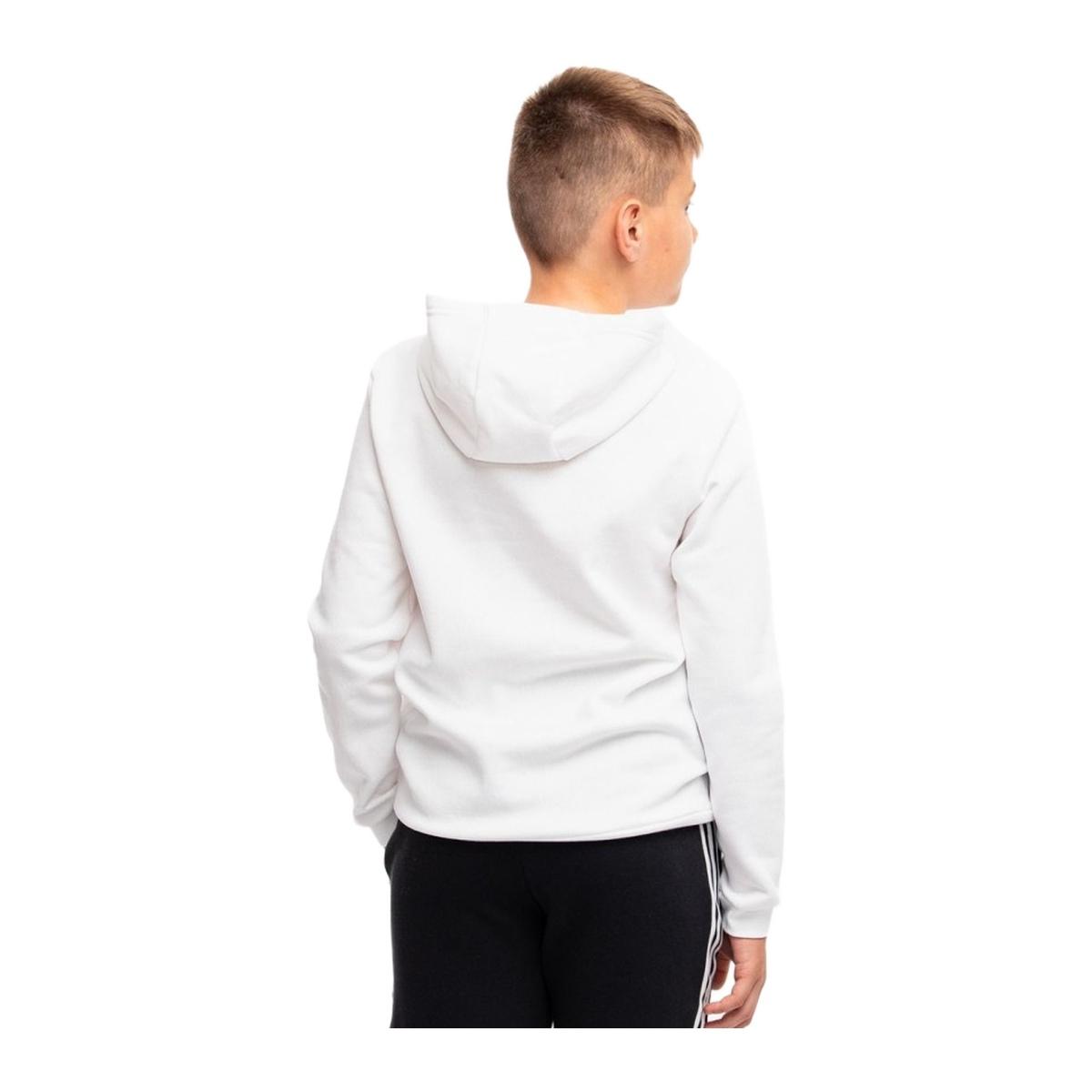 Adidas Felpa con Cappuccio Entrada 22 Junior Bambini