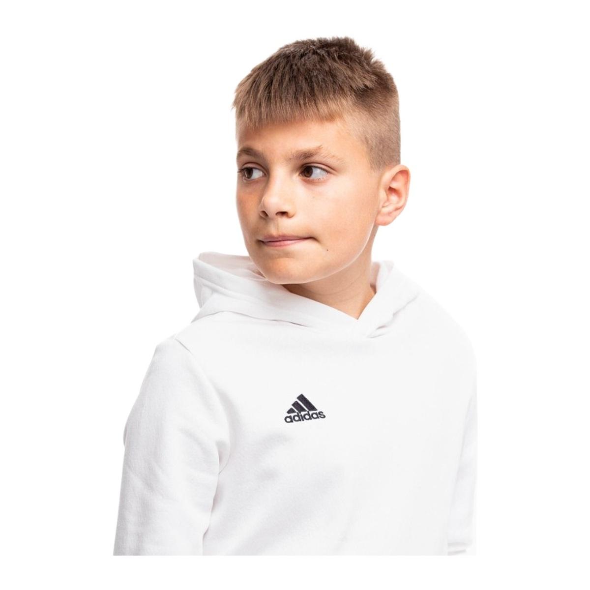 Adidas Felpa con Cappuccio Entrada 22 Junior Bambini
