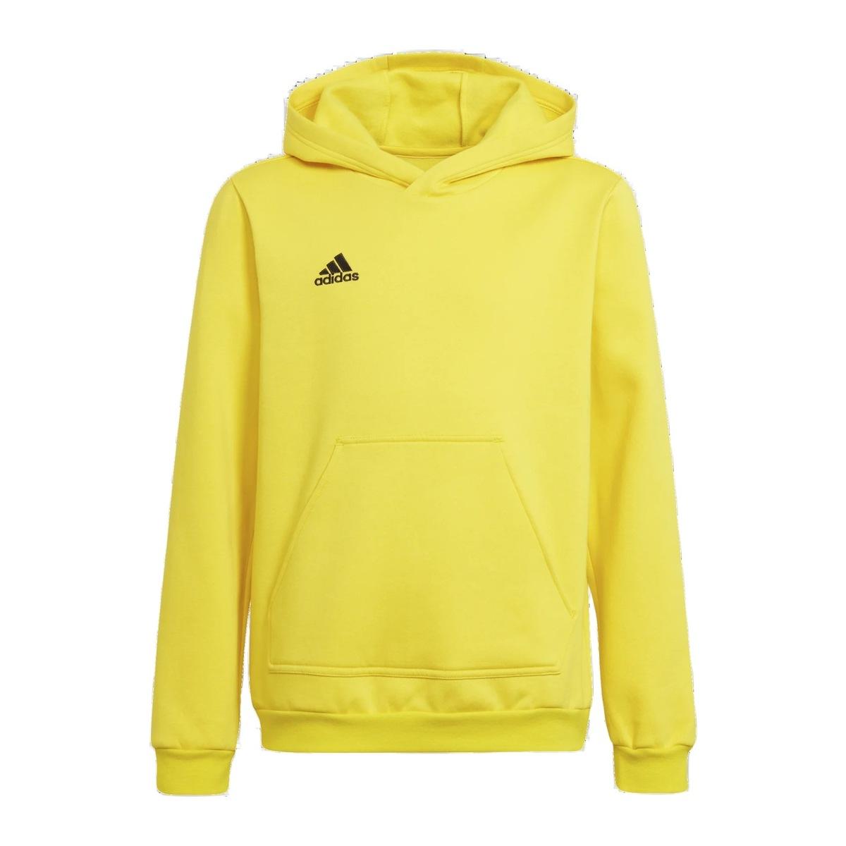 Adidas Felpa con Cappuccio Entrada 22 Junior Bambini