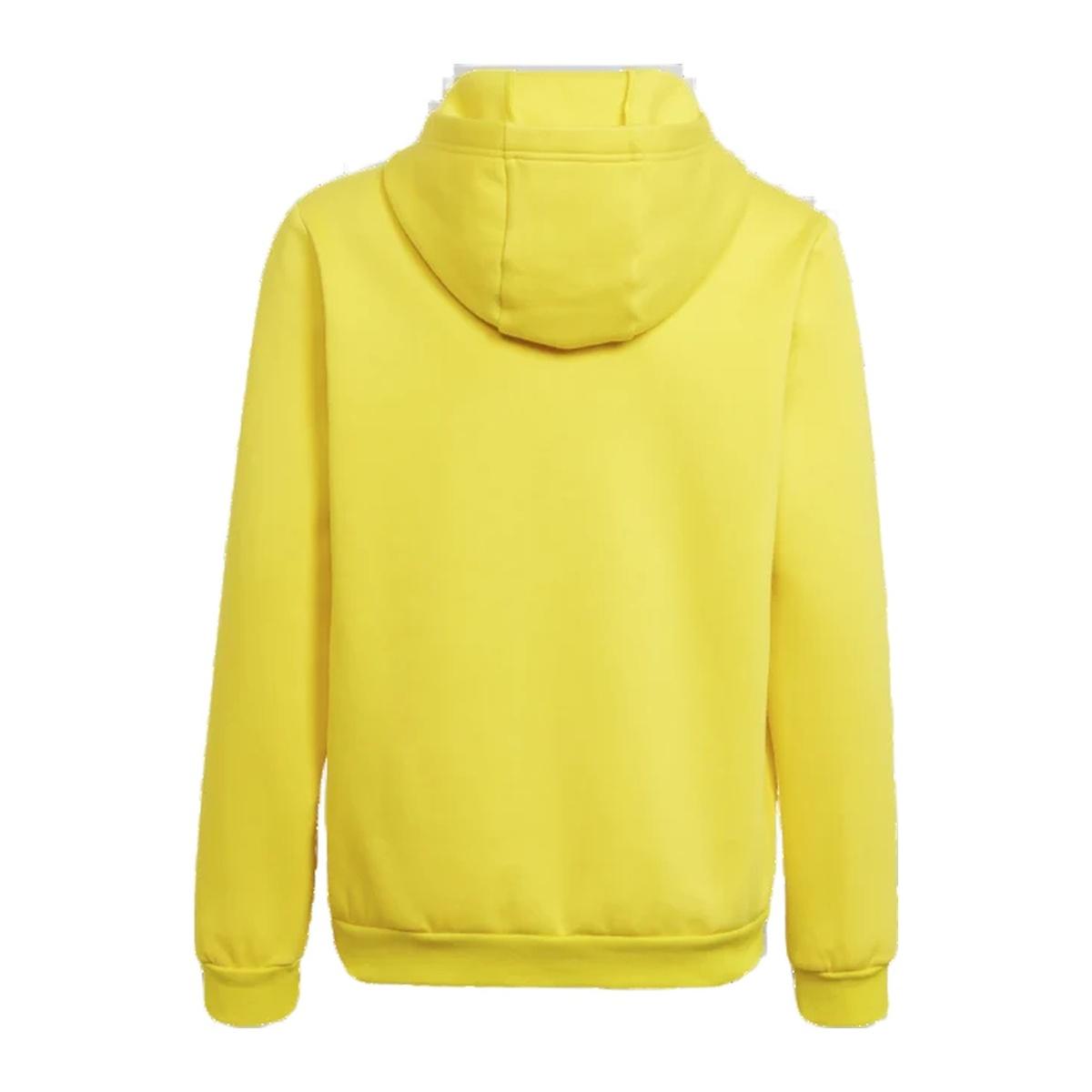 Adidas Felpa con Cappuccio Entrada 22 Junior Bambini