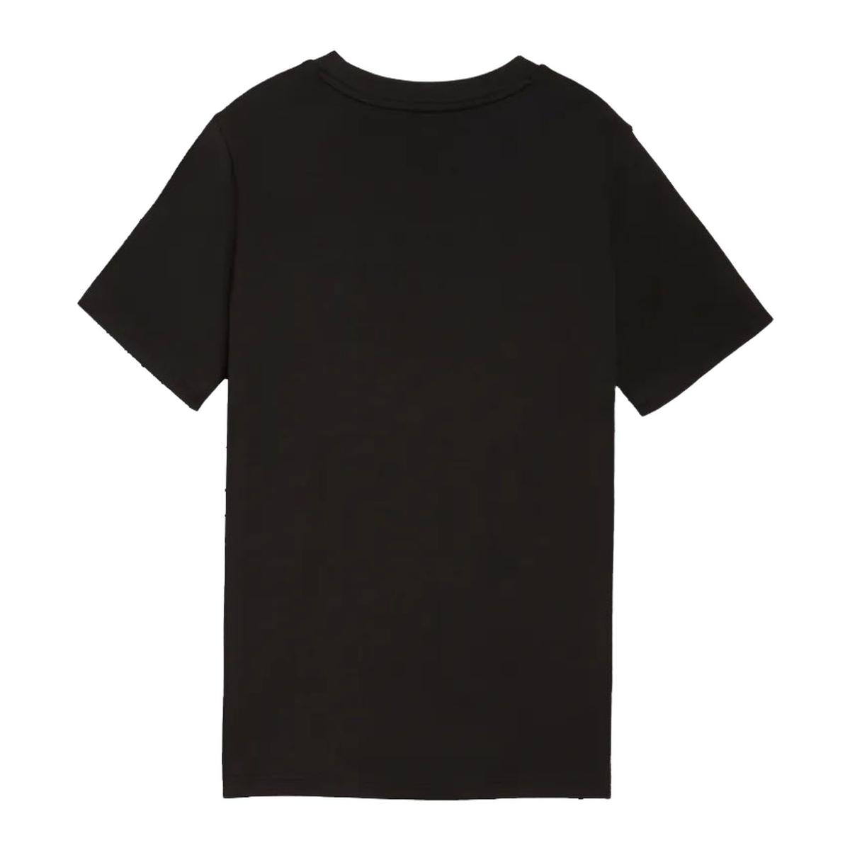 Puma Essentials Logo Lab Summer T-shirt